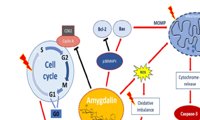 Amygdalin