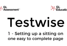 https://www.testwise.com/platform/code