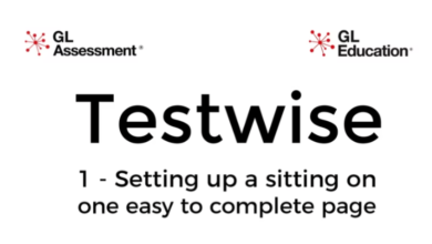 https://www.testwise.com/platform/code