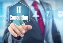 IT Consulting