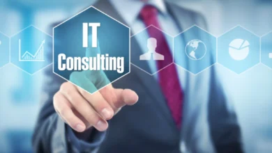 IT Consulting