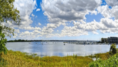 1250 waters place​