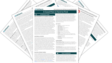 A good man is hard to find PDF