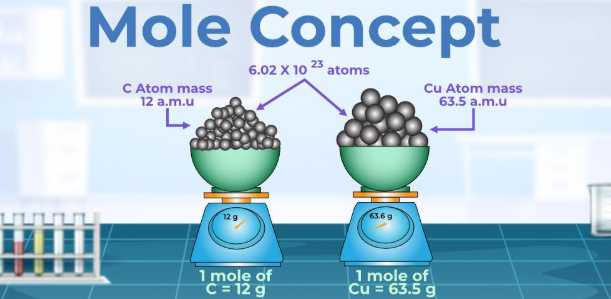 n molar mass